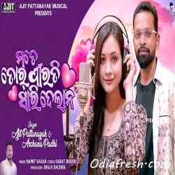 Mate Tor Pirati Sari Delana